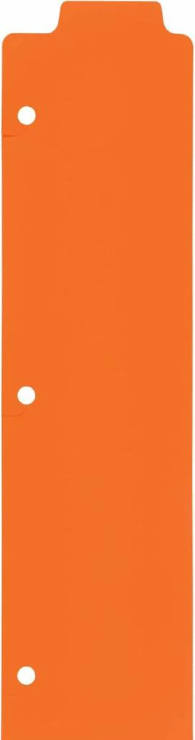 Avery 5-Tab Multicolor Plastic Binder Dividers with Snap-In Bookmarks & White Labels - 3-Ring Binder Set (24908)